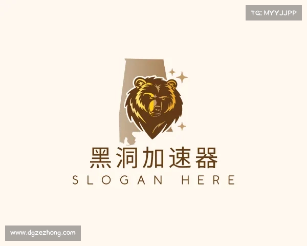 认识黑洞加速器